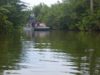 0725 Onsdag - Everglades